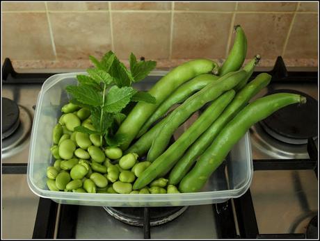 Poached Chicken with Broad Bean sauce