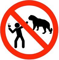 Russian leaflet on Selfie ban .... mad people at Pamplona bull capture !!!