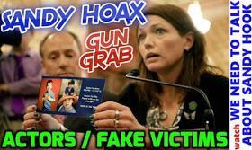 Sandy Hook: Trick or Treason?