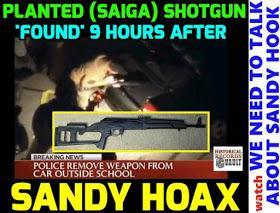 Sandy Hook: Trick or Treason?