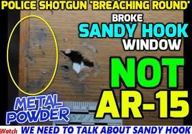 Sandy Hook: Trick or Treason?