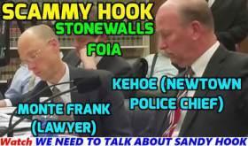 Sandy Hook: Trick or Treason?