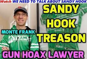 Sandy Hook: Trick or Treason?
