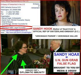 Sandy Hook: Trick or Treason?