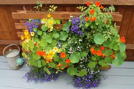 How to Make a Vertical Pallet Planter