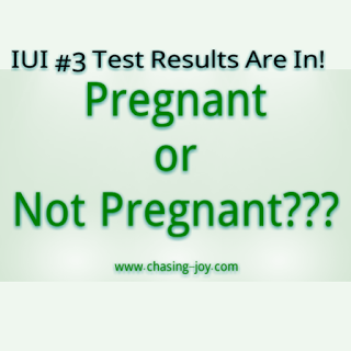 IUI #3 Results