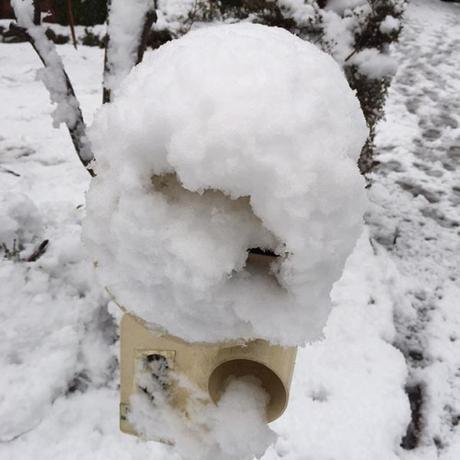 Our snowed in letterbox. No mail today!