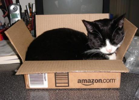 Top 10 Cats in Brand Name Packaging