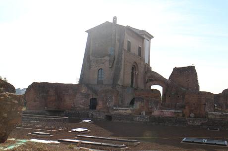  photo Roman Forum amp Palatine Hill 9_zpsojgjhjqt.jpg