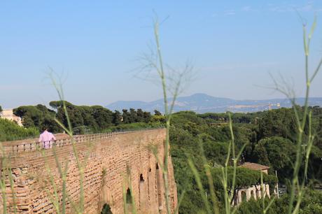  photo Roman Forum amp Palatine Hill 8_zpsdvhxcuo9.jpg