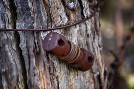rusted bolt on fence post