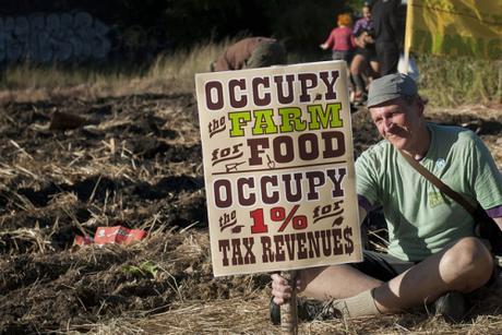 occupy the farm