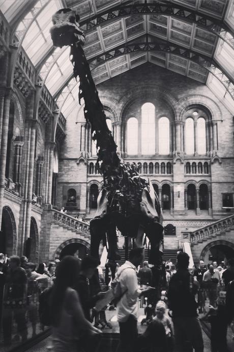 Hello Freckles Sunday Summary Dippy Diplodocus Natural History Museum London