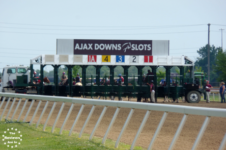 Ajax Downs Starting Gate