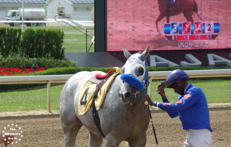 Ajax Downs Post-Race 4 Horse