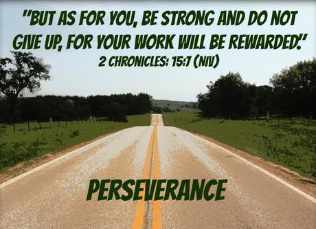 perseverance