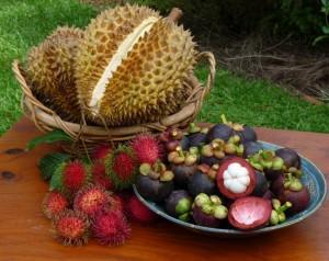 amazing benefits of mangosteen for health and beauty1