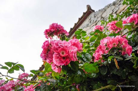 Photoblog: Day Trip To Herm