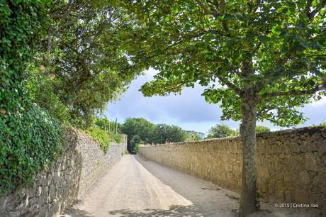 Photoblog: Day Trip To Herm