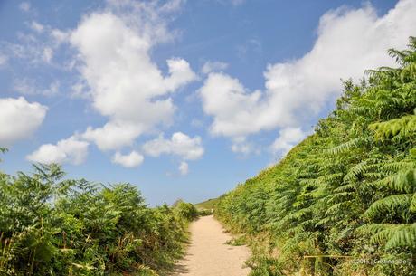 Photoblog: Day Trip To Herm