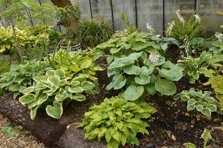 Hosta la vista baby......