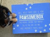Pawsome Box!