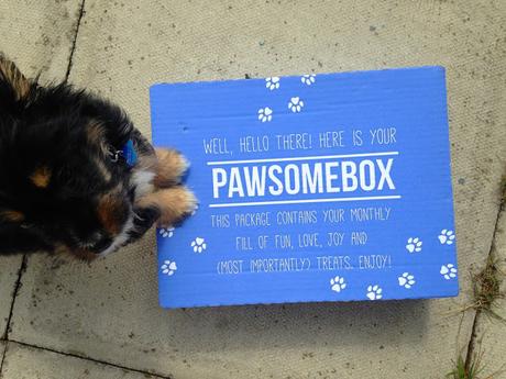 The Pawsome box!
