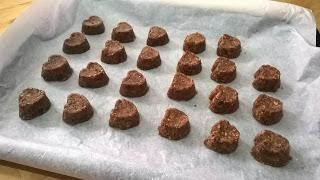 Raw gluten free vegan chocolate & coconut cookies