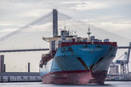 Savannah Finale   [Orange You Glad It’s Friday] & [Sky Watch Friday]