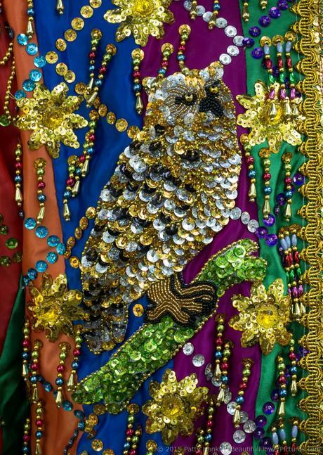 Sequins, 2015 Smithsonian Folklife Festival © 2015 Patty Hankins