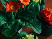 Memorial What with Farmer’s Market Fruit Baskets
