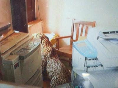 importance of going to School - leopard too visits in Chikmagaluru