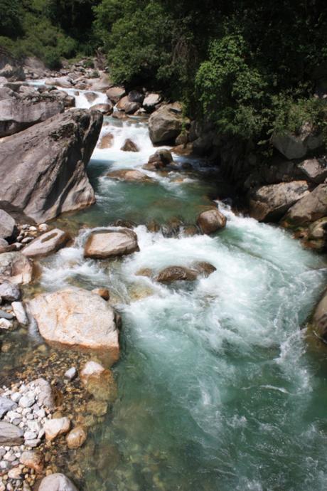 Taken on June 8, 2015 in Great Himalyan National Park (GHNP)