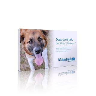 Learn Your Dogs DNA With Wisdom Panel 3.0 Testing