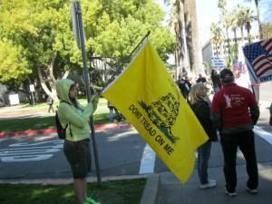 Tea Partier protests with Gadsden flag