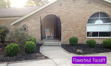 Flowerbed Facelift