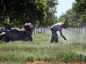 Arizona’s Water Rush Raising Tensions