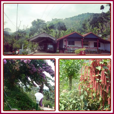 A Blissful Technology-Free Weekend: Gatikallu Homestay, Chikmaglur, Karnataka [#MondayBlogs]
