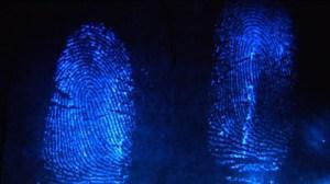 fingerprints_Large