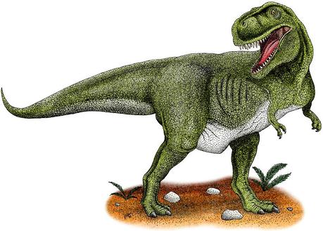 Tyrannosaurus Rex Drawing - Tyrannosaurus Rex Fine Art Print