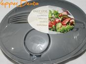 Easy Line Salad Bowl Bento with Fork Sauce Review!