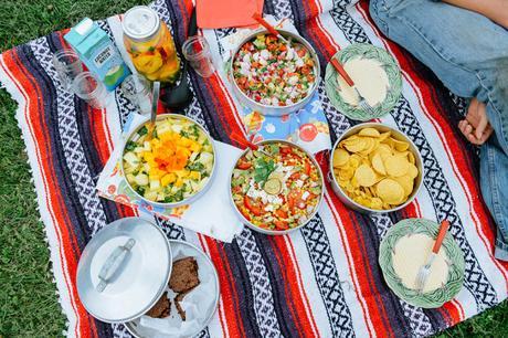 South American Inspired Picnic by With The Grains 05