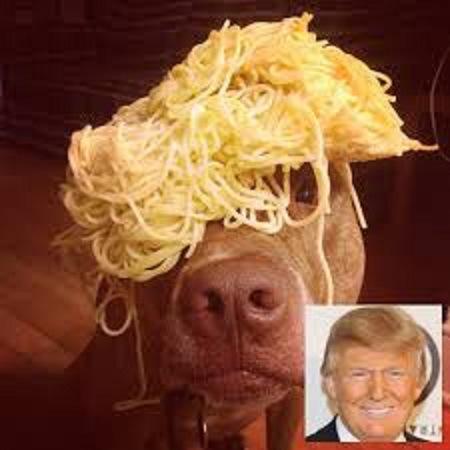 Trump dog4