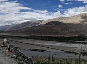 Sichel Going Himalayan High