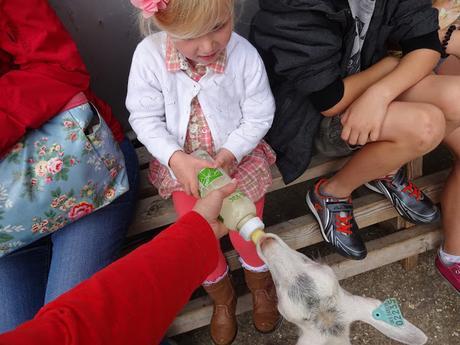 A day out at Farmer Palmer's!