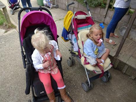 A day out at Farmer Palmer's!