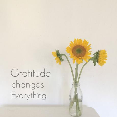 Hello Gratitude