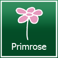 Creating Illusion with Primrose.co.uk & Competition!