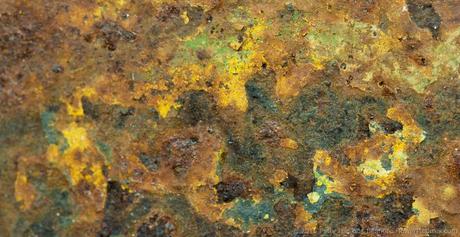 Rusted Toolbox © 2015 Patty Hankins