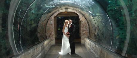 5 Crazy and Amazing Places to Get Married in Las Vegas